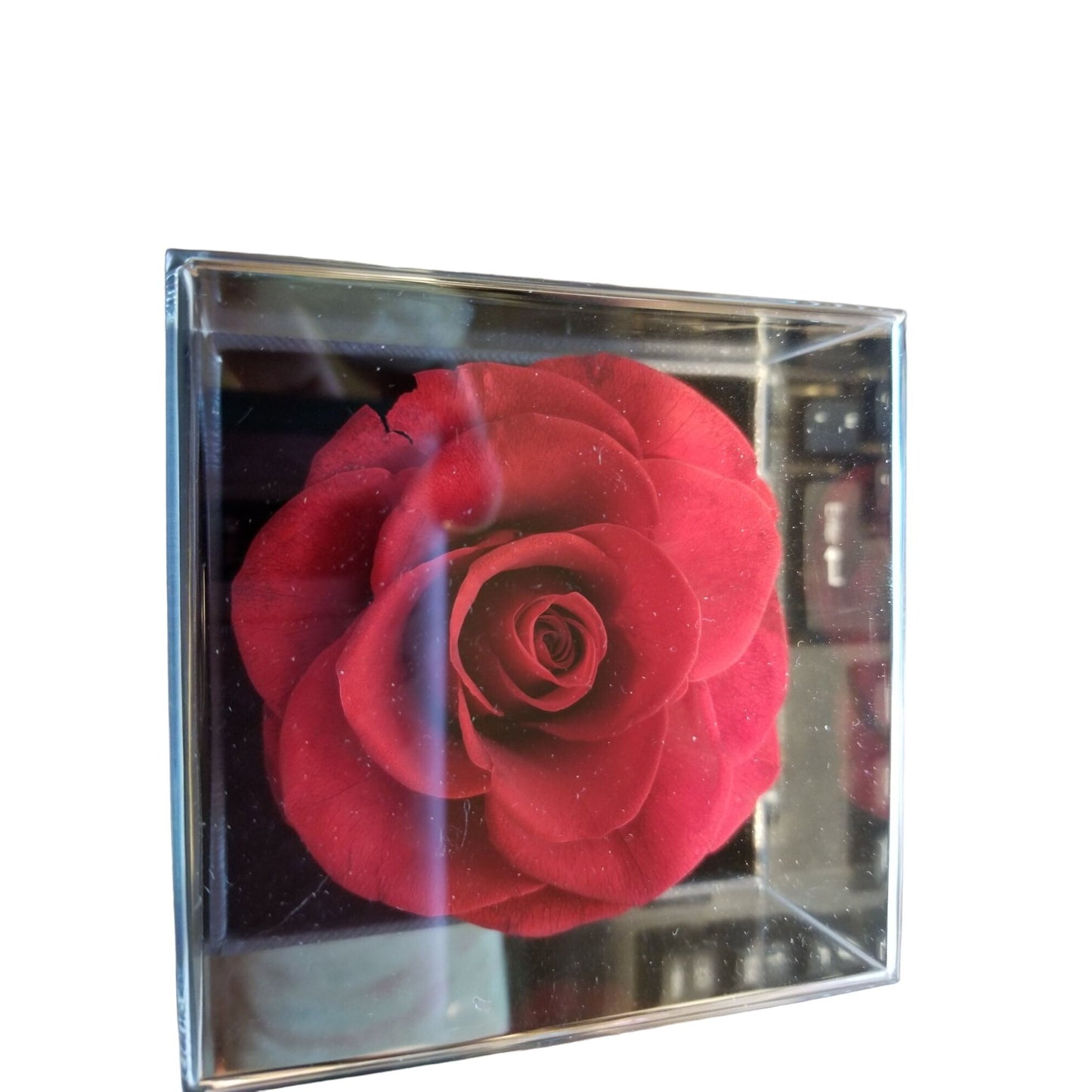 Gift Box For Mom Box says Best Mom Ever Necklace Heart Pendant and Ring with Red Rose Jewelry Storage Box for Women Mother's Day