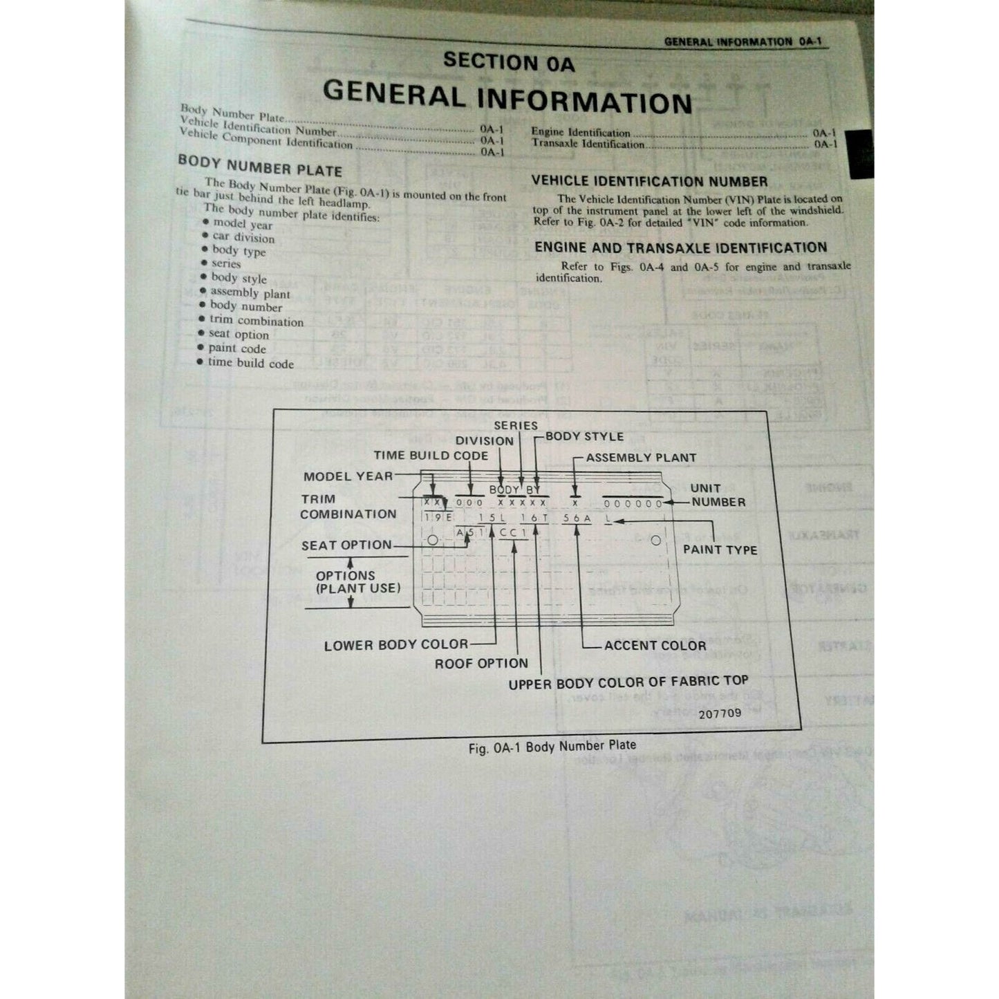 1982 Pontiac Service Manual Phoenix and 6000 Automobile Repair Shop