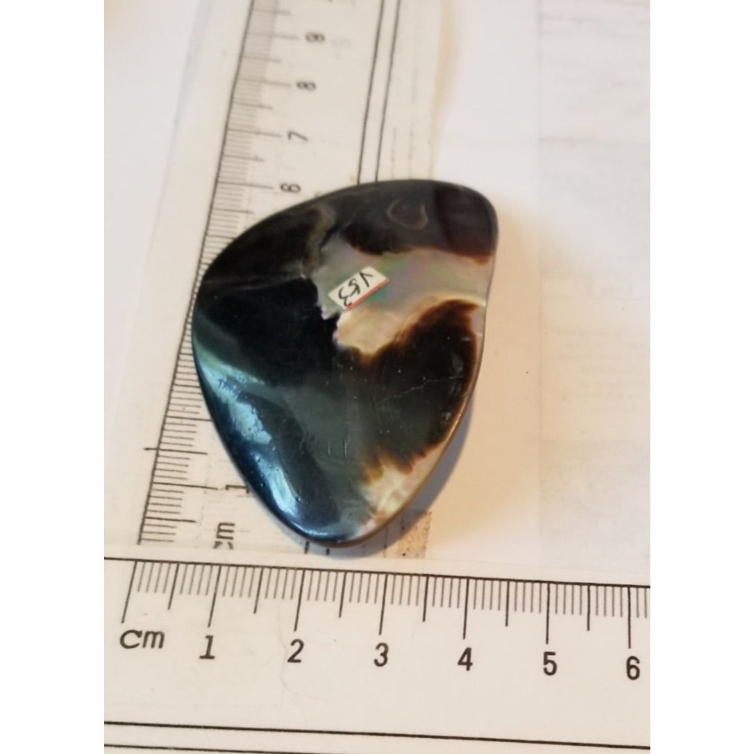 Loose Half Pearl Shell Mabe Blister Pearl in Shell Tahitiam 62.5 ct 12.3 gr 7.5 cm x 4 cm