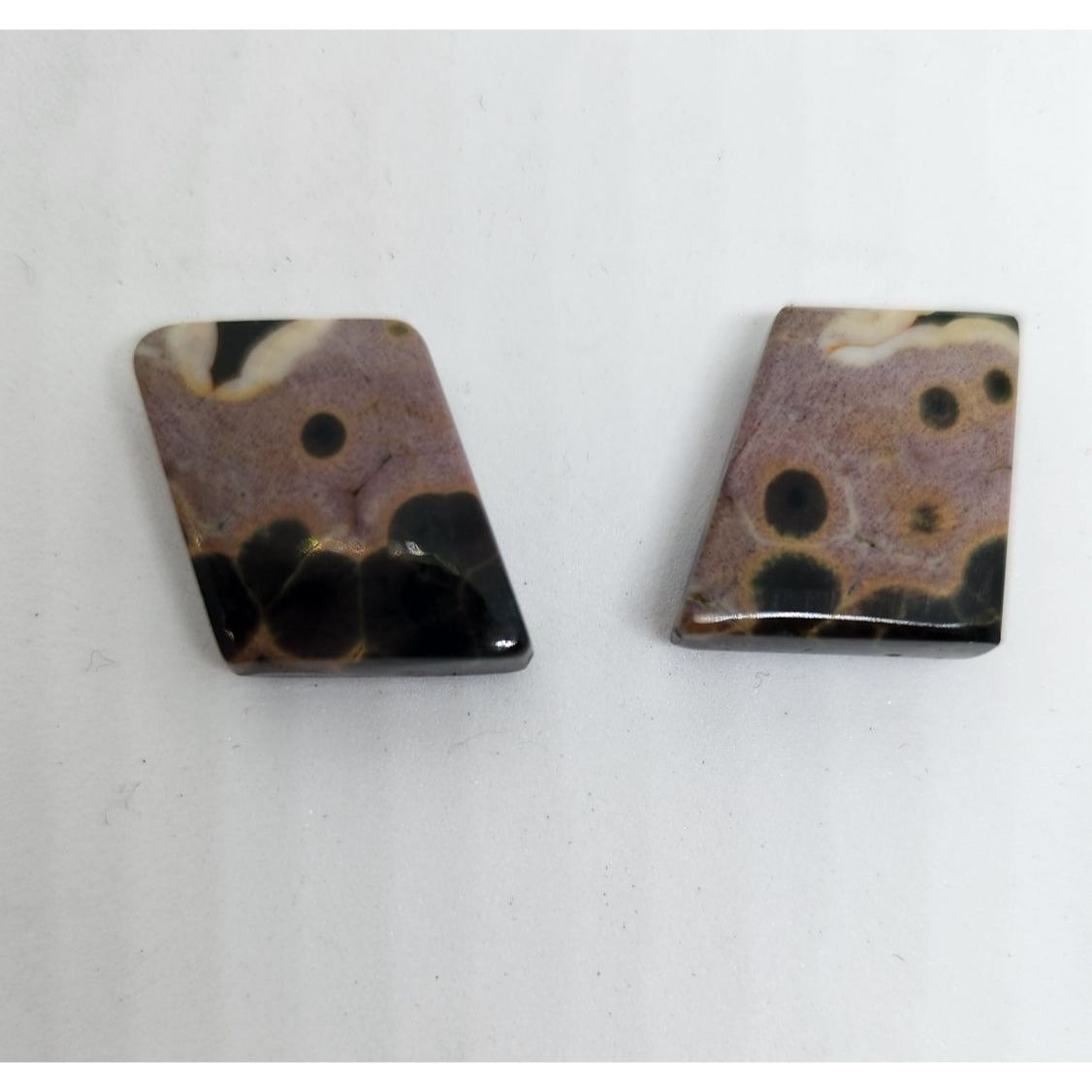 Gemstone Loose Palm Wood Stone Matched Pair Earrings 29 ct 5.7 gr