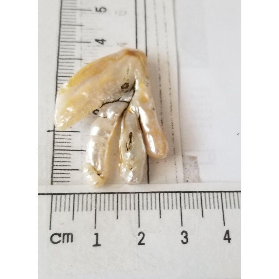 Loose Baroque Chicken Feet Freshwater Keshi 25.5 ct 5.1 gr 4 cm x 3 cm
