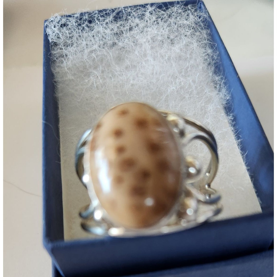 Ring Petrified Palmwood Silver Size 13 1/2 10 gr Stone 20 x 15 mm Jerry Fran Harr