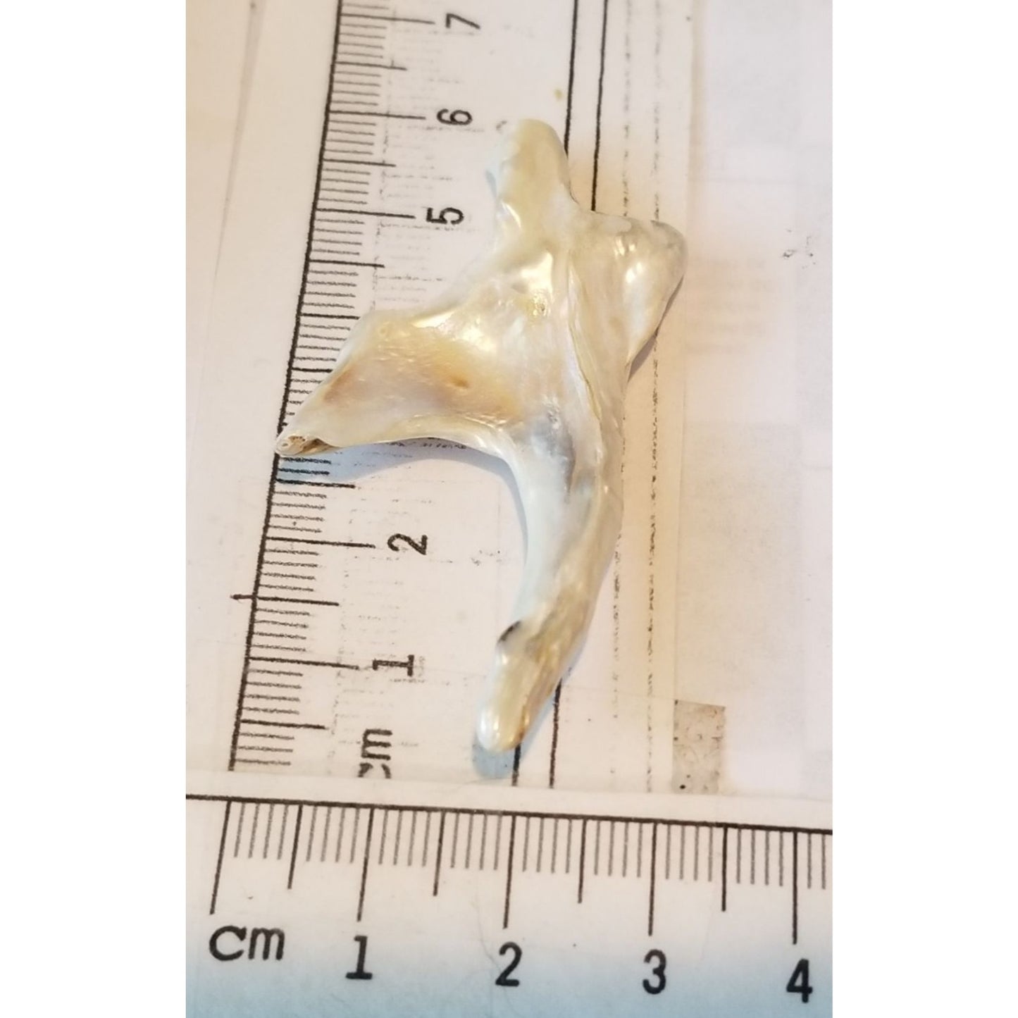 Loose Baroque Arrow Big 4 Freshwater Keshi 28 ct 5.6 gr 5.5 cm x 3 cm Real Natural