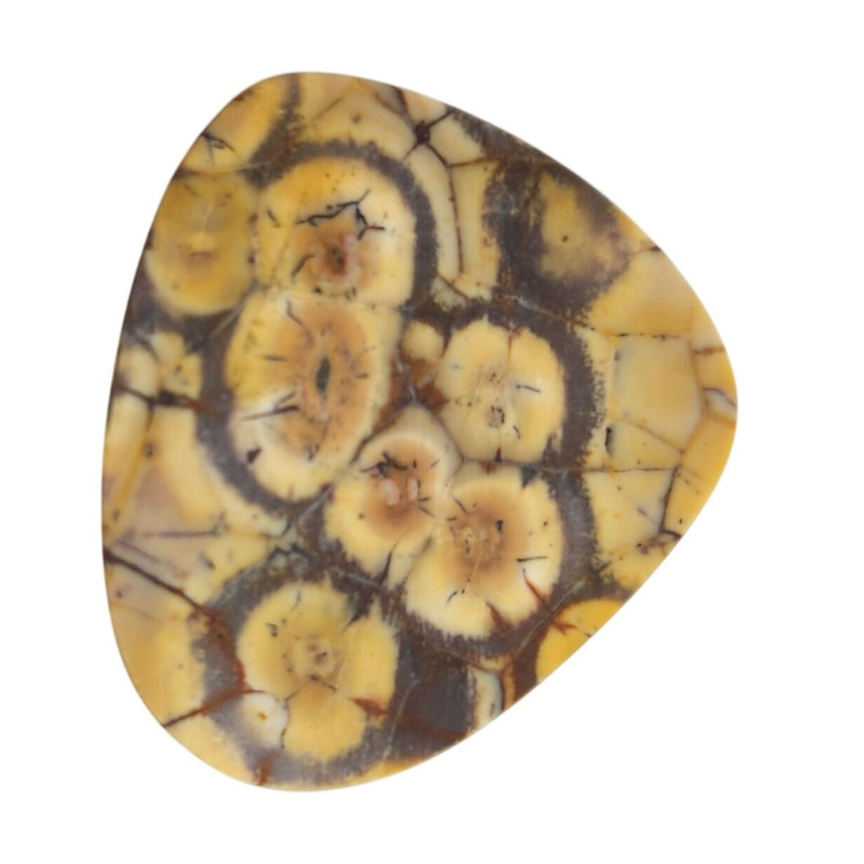 Gemstone Loose Peanut Wood Stone Bracelet Pendant size 43.5 ct 8.7 gr