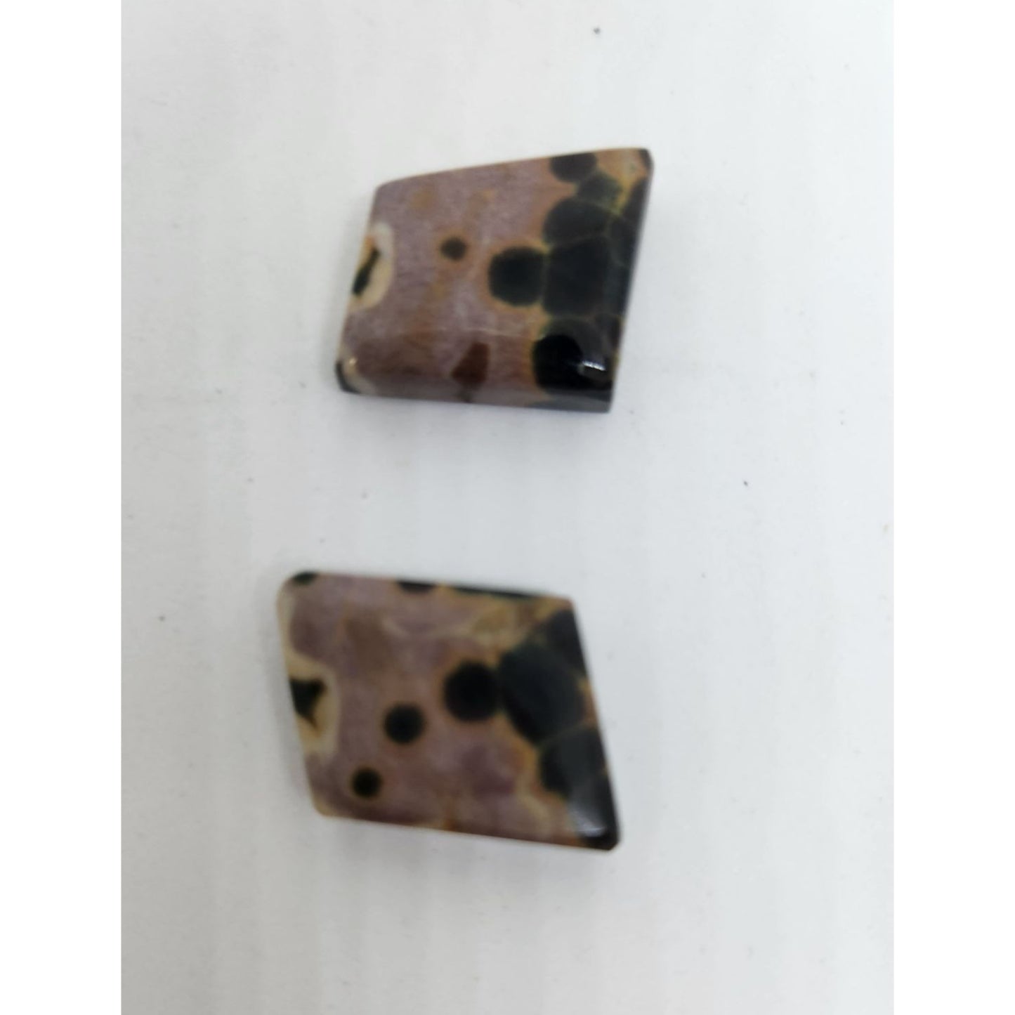 Gemstone Loose Palm Wood Stone Matched Pair Earrings 29 ct  5.7 gr