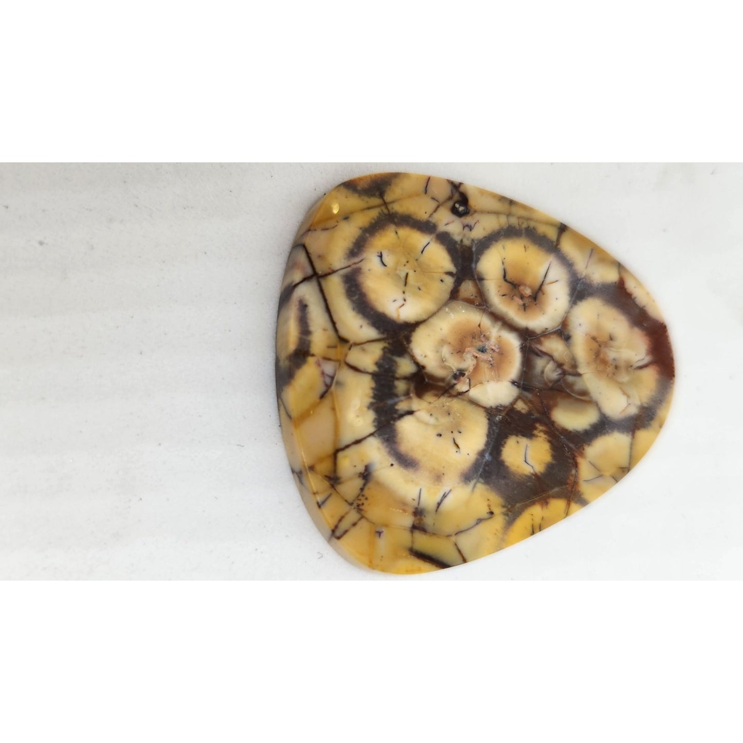 Gemstone Loose Peanut Wood Stone Bracelet  Pendant size  43.5 ct  8.7 gr