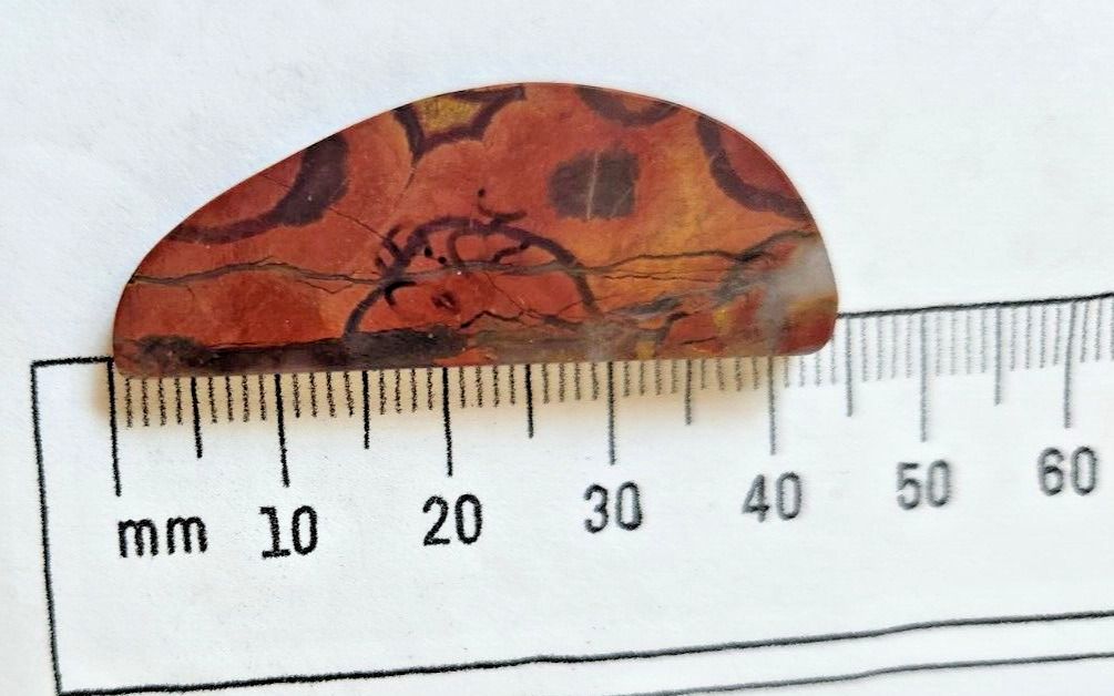 Gemstones Matched Pair Poppy Jasper 10 gr Earrings 50 ct Size 40mm x 10 mm