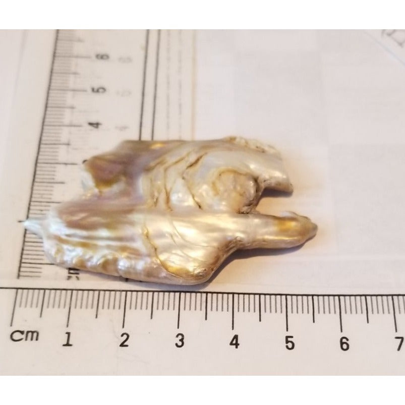 Loose Baroque Catus Bird  Shape Freshwater Keshi 34.5  ct  6.9  gr 5.5 cm  x 5 cm Real Natural