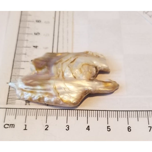 Loose Baroque Catus Bird  Shape Freshwater Keshi 34.5  ct  6.9  gr 5.5 cm  x 5 cm Real Natural