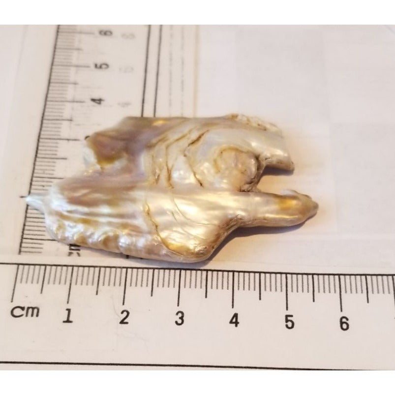 Loose Baroque Catus Bird  Shape Freshwater Keshi 34.5  ct  6.9  gr 5.5 cm  x 5 cm Real Natural