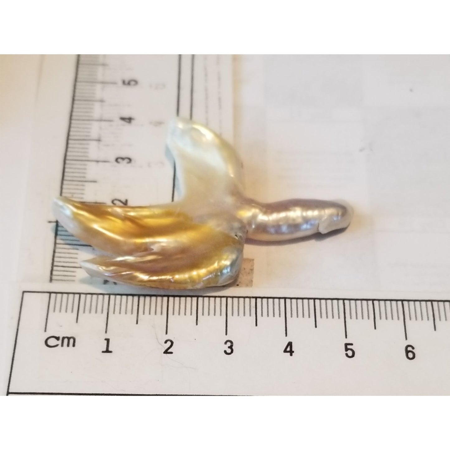 Loose Baroque Catus Bird  Shape Freshwater Keshi 34.5  ct  6.9  gr 5.5 cm  x 5 cm Real Natural
