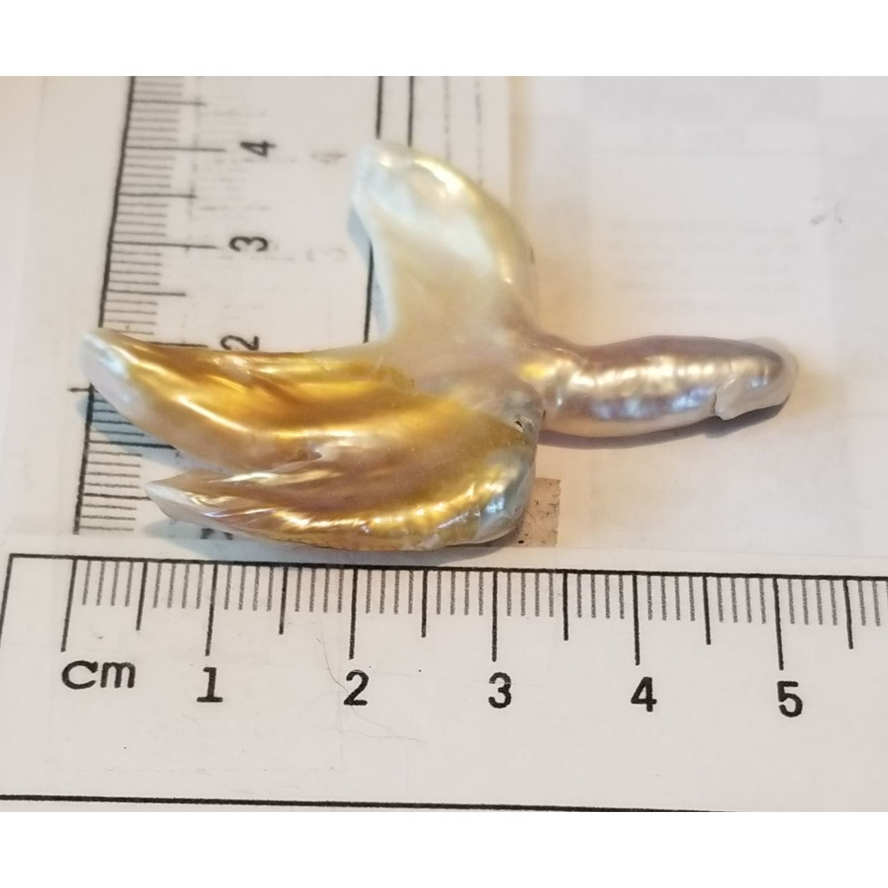 Loose Baroque Catus Bird  Shape Freshwater Keshi 34.5  ct  6.9  gr 5.5 cm  x 5 cm Real Natural