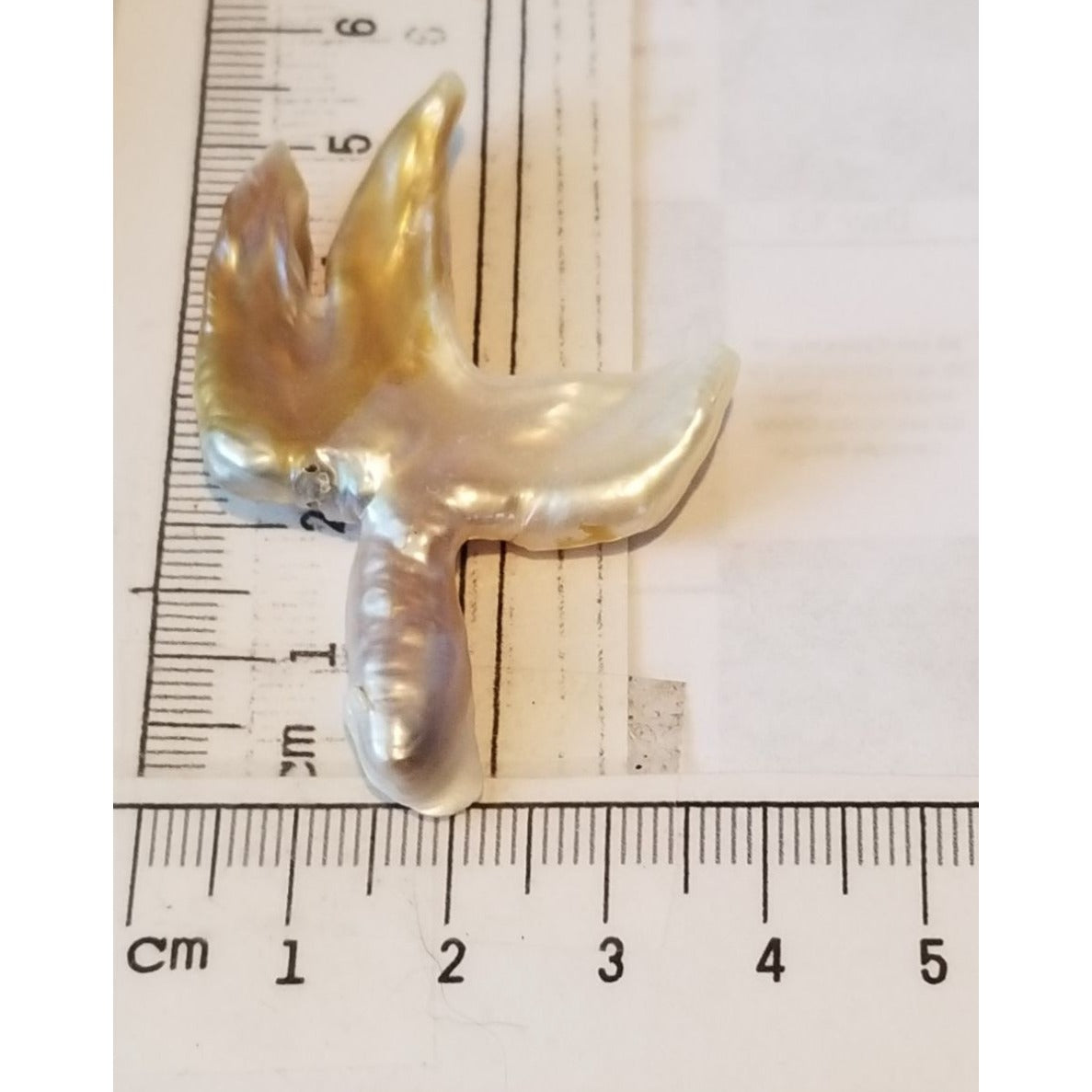 Loose Baroque Catus Bird  Shape Freshwater Keshi 34.5  ct  6.9  gr 5.5 cm  x 5 cm Real Natural