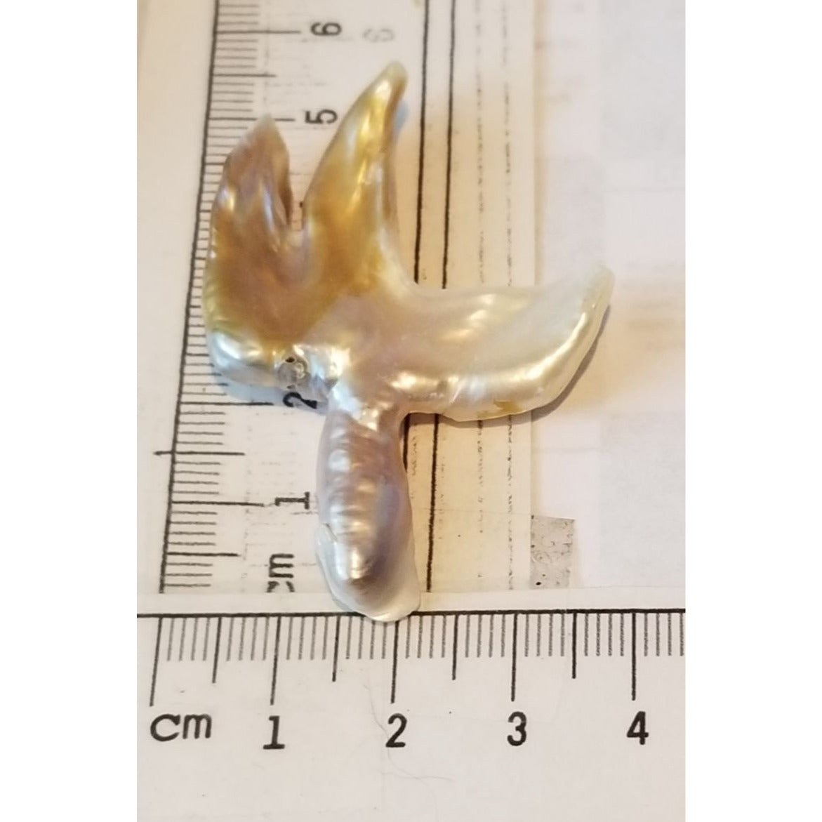 Loose Baroque Catus Bird  Shape Freshwater Keshi 34.5  ct  6.9  gr 5.5 cm  x 5 cm Real Natural