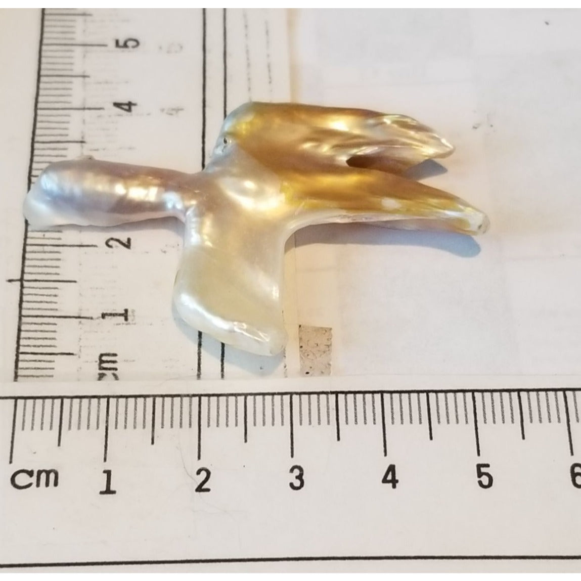 Loose Baroque Catus Bird  Shape Freshwater Keshi 34.5  ct  6.9  gr 5.5 cm  x 5 cm Real Natural