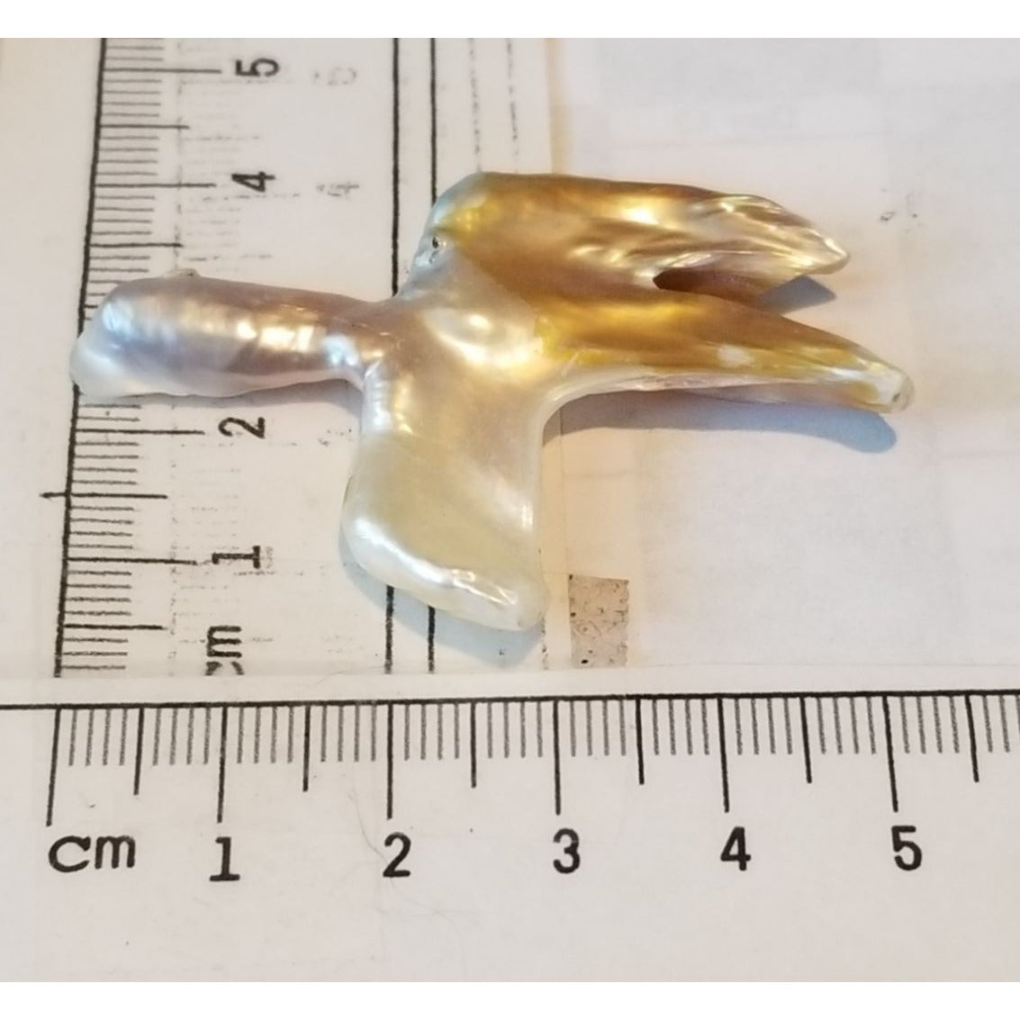 Loose Baroque Catus Bird  Shape Freshwater Keshi 34.5  ct  6.9  gr 5.5 cm  x 5 cm Real Natural