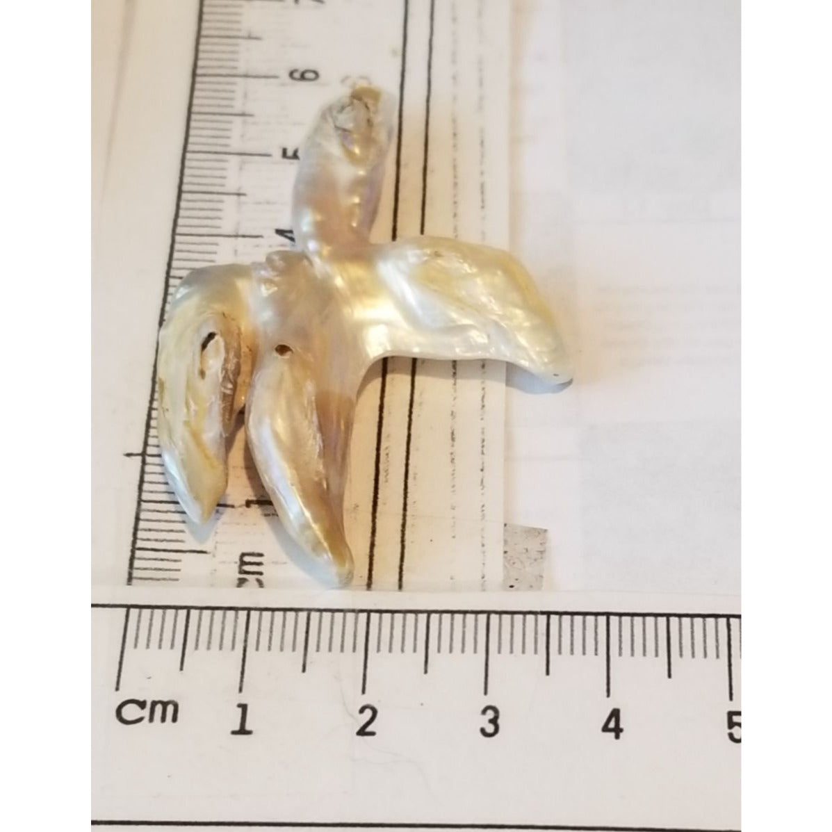 Loose Baroque Catus Bird  Shape Freshwater Keshi 34.5  ct  6.9  gr 5.5 cm  x 5 cm Real Natural