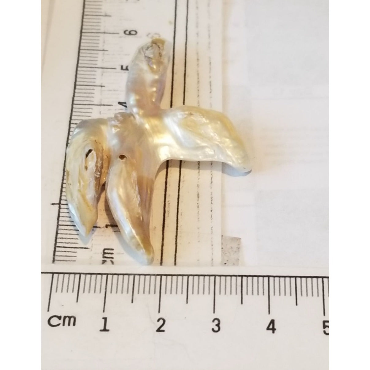 Loose Baroque Catus Bird  Shape Freshwater Keshi 34.5  ct  6.9  gr 5.5 cm  x 5 cm Real Natural