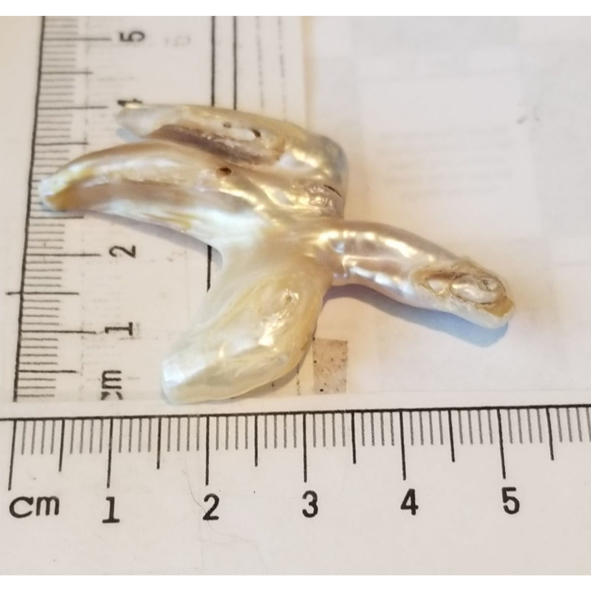 Loose Baroque Catus Bird  Shape Freshwater Keshi 34.5  ct  6.9  gr 5.5 cm  x 5 cm Real Natural