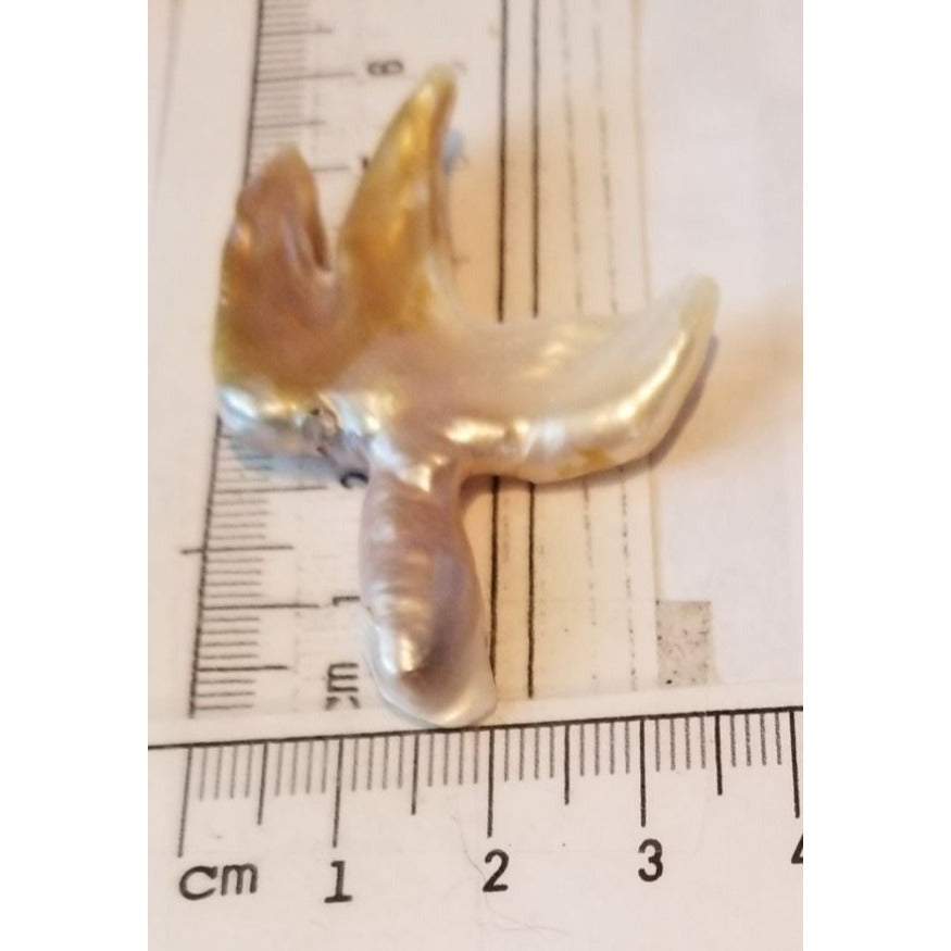 Loose Baroque Catus Bird  Shape Freshwater Keshi 34.5  ct  6.9  gr 5.5 cm  x 5 cm Real Natural