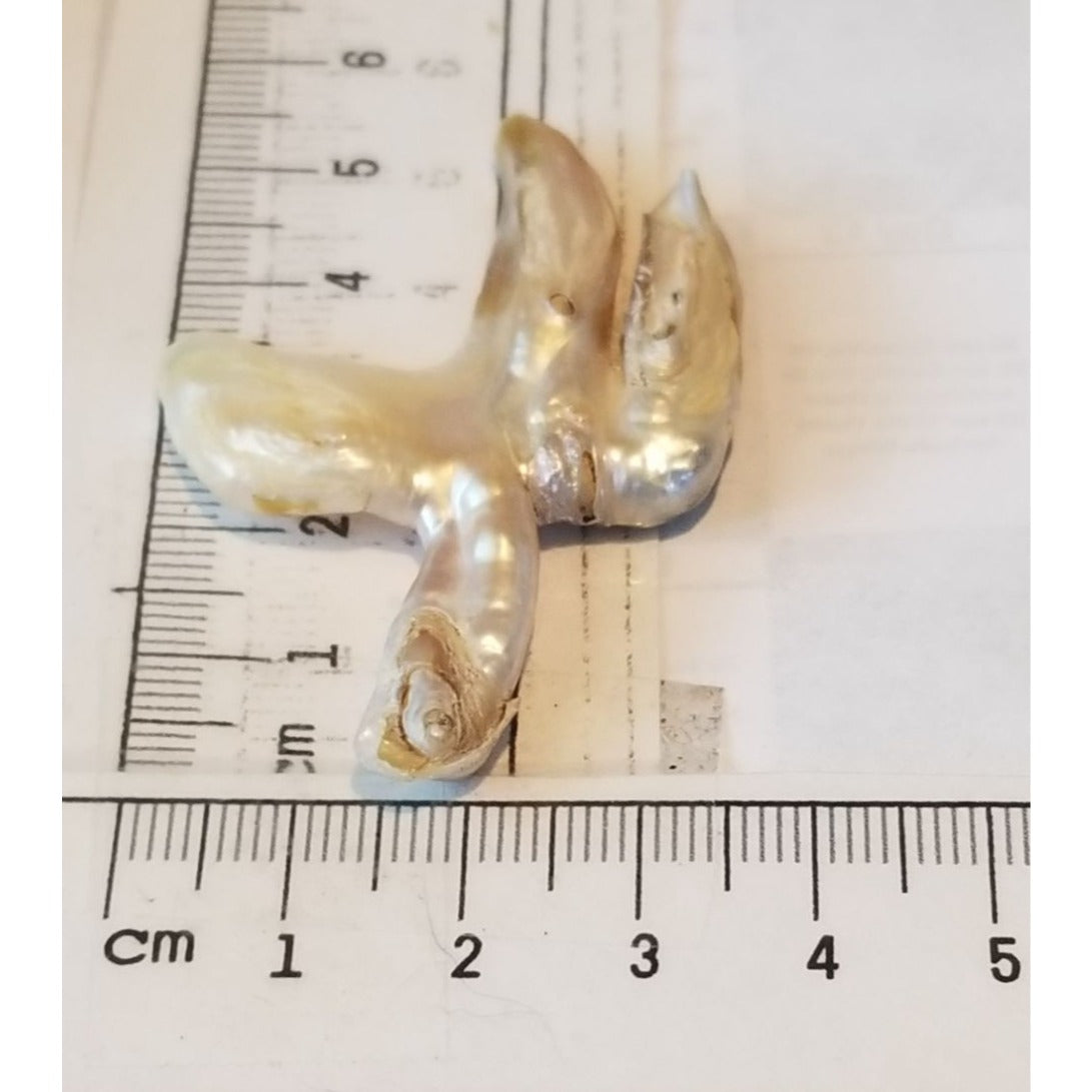 Loose Baroque Catus Bird  Shape Freshwater Keshi 34.5  ct  6.9  gr 5.5 cm  x 5 cm Real Natural