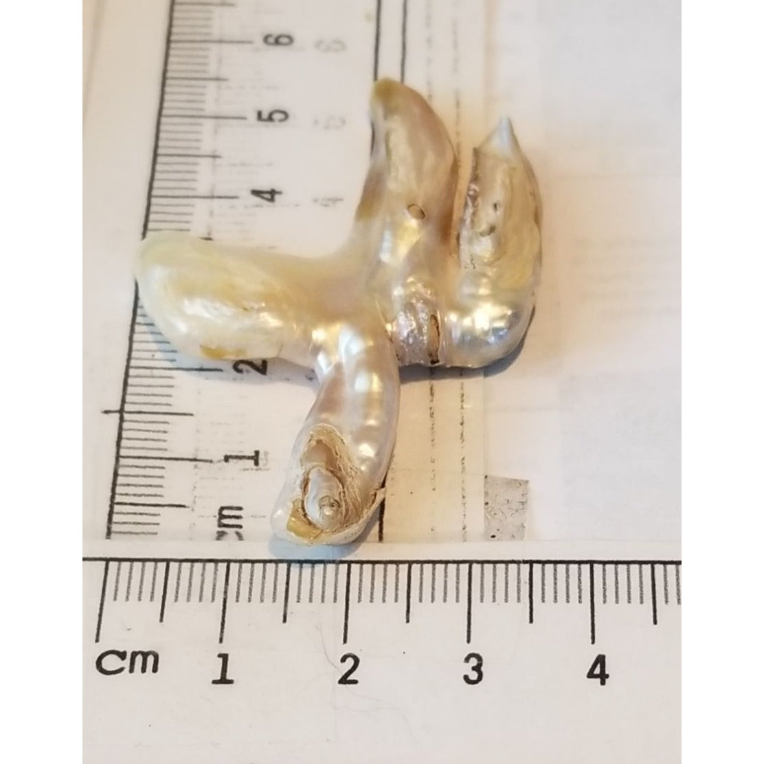 Loose Baroque Catus Bird  Shape Freshwater Keshi 34.5  ct  6.9  gr 5.5 cm  x 5 cm Real Natural