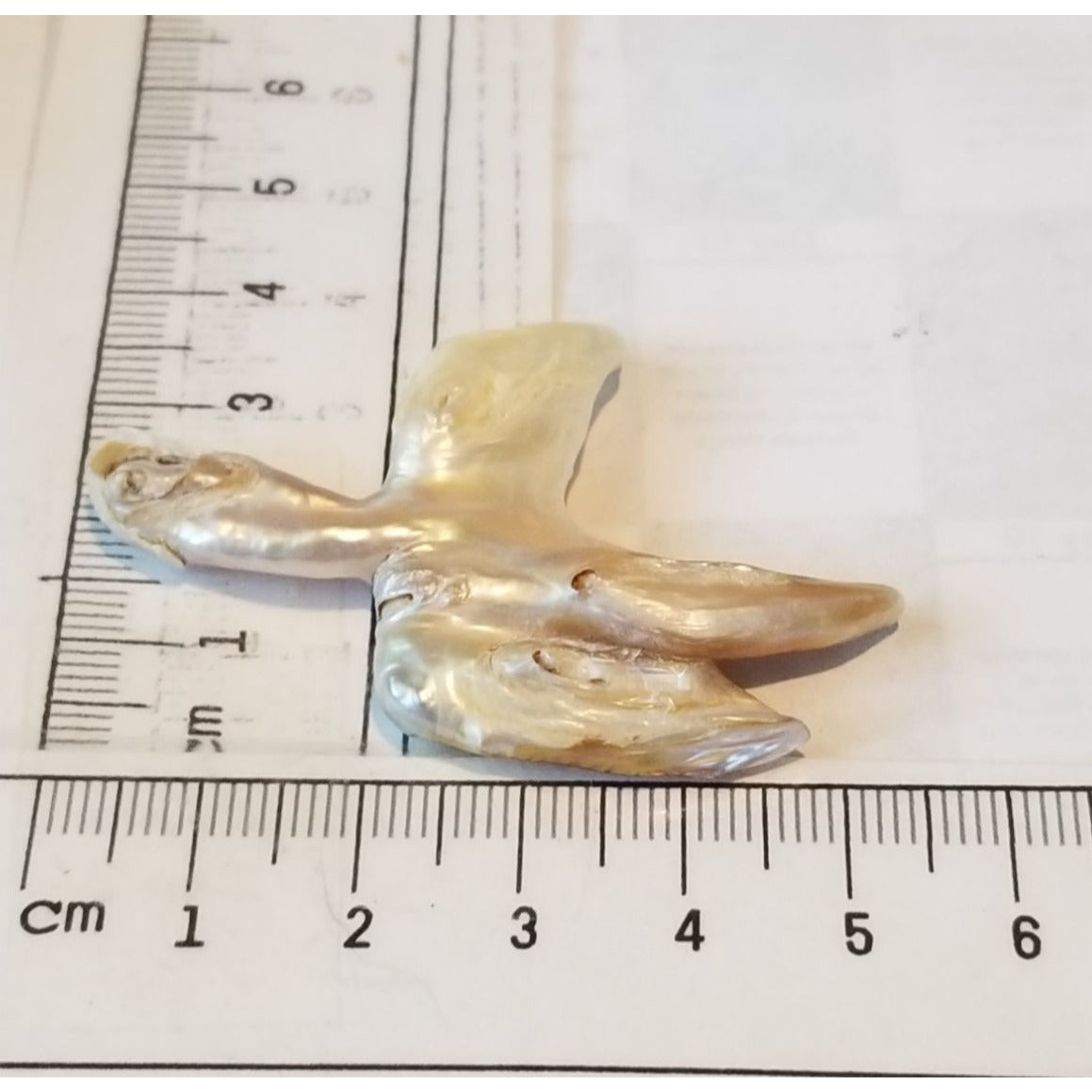 Loose Baroque Catus Bird  Shape Freshwater Keshi 34.5  ct  6.9  gr 5.5 cm  x 5 cm Real Natural