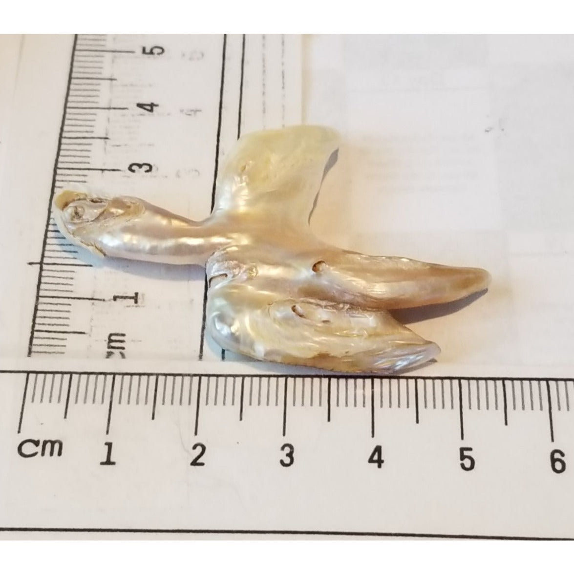 Loose Baroque Catus Bird  Shape Freshwater Keshi 34.5  ct  6.9  gr 5.5 cm  x 5 cm Real Natural