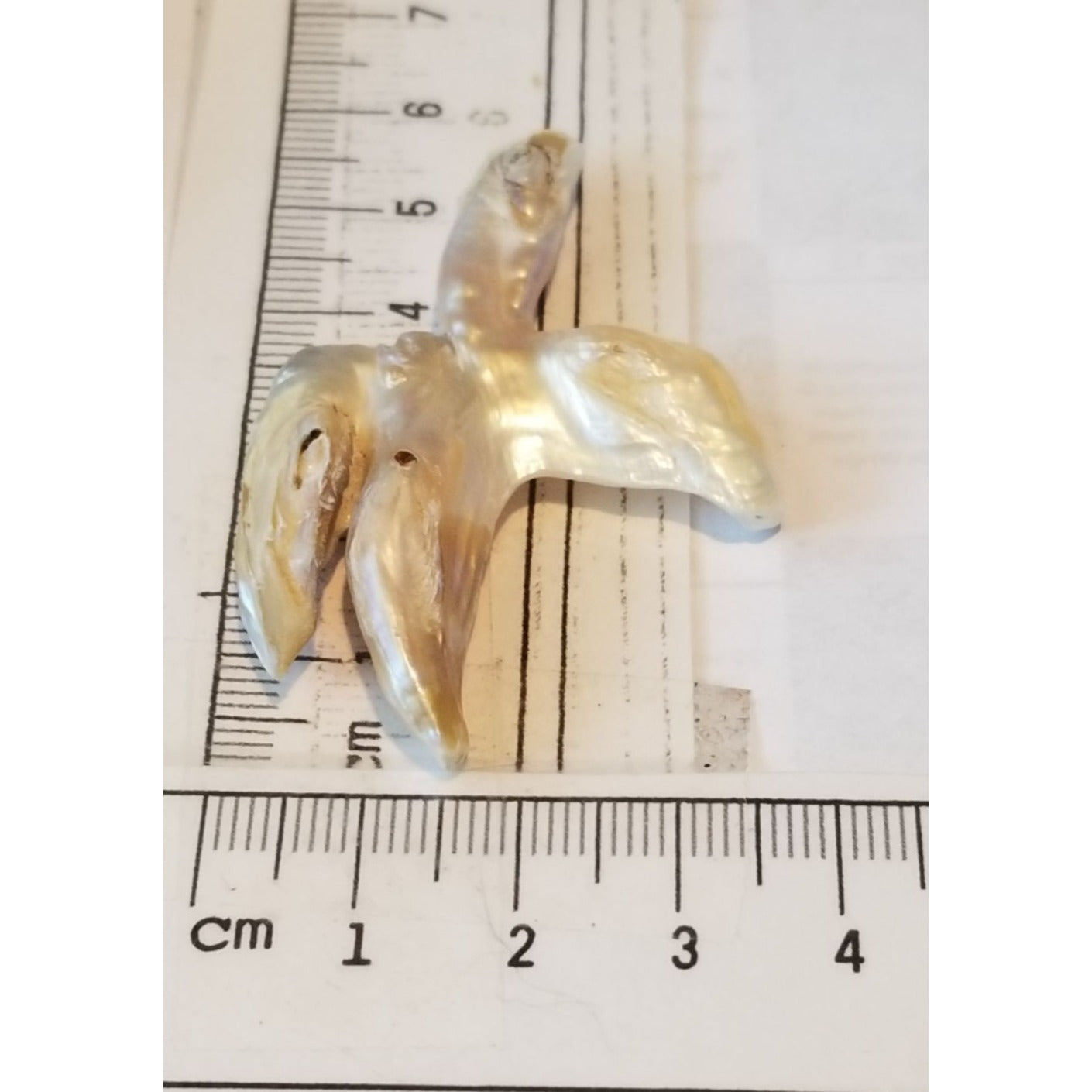 Loose Baroque Catus Bird  Shape Freshwater Keshi 34.5  ct  6.9  gr 5.5 cm  x 5 cm Real Natural