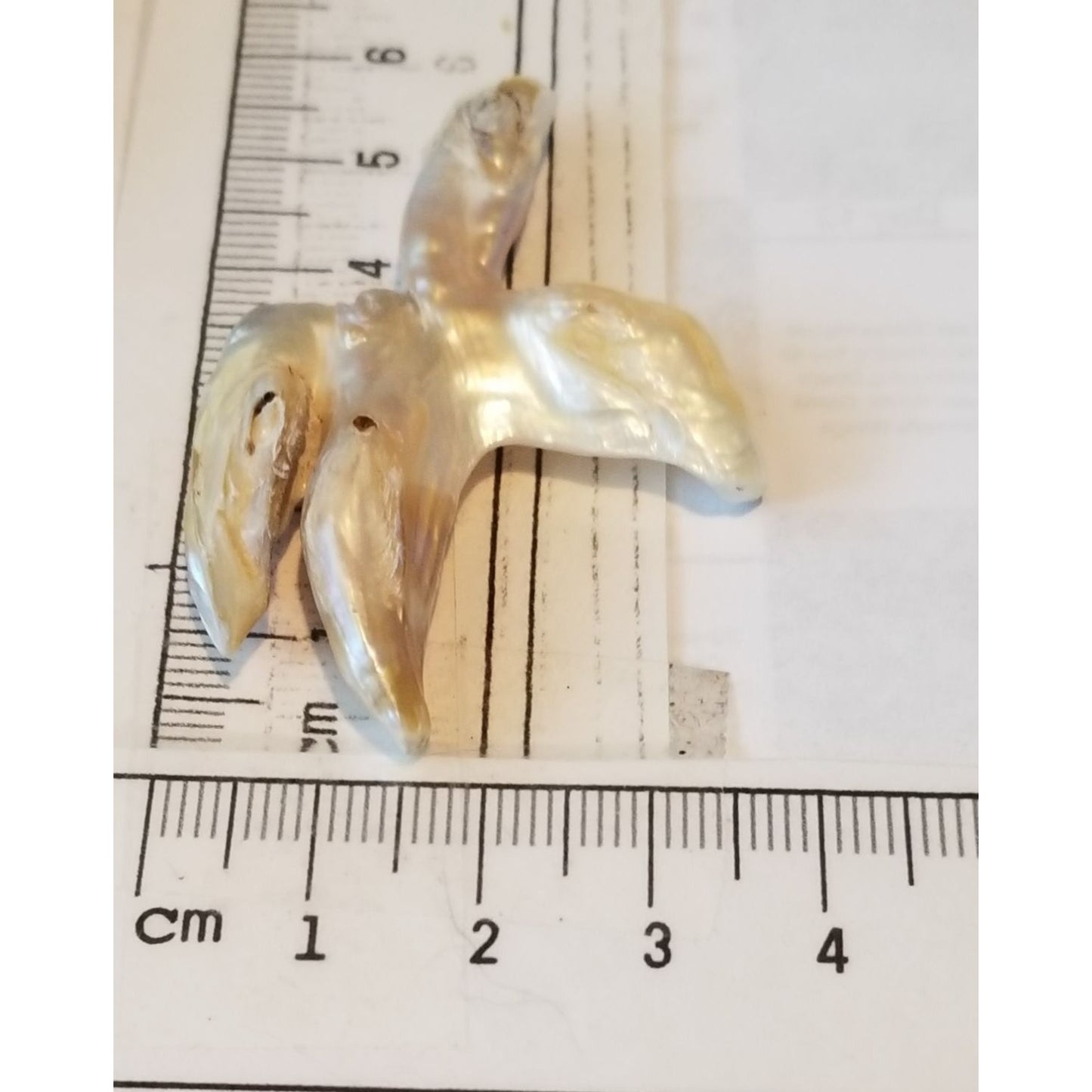 Loose Baroque Catus Bird  Shape Freshwater Keshi 34.5  ct  6.9  gr 5.5 cm  x 5 cm Real Natural