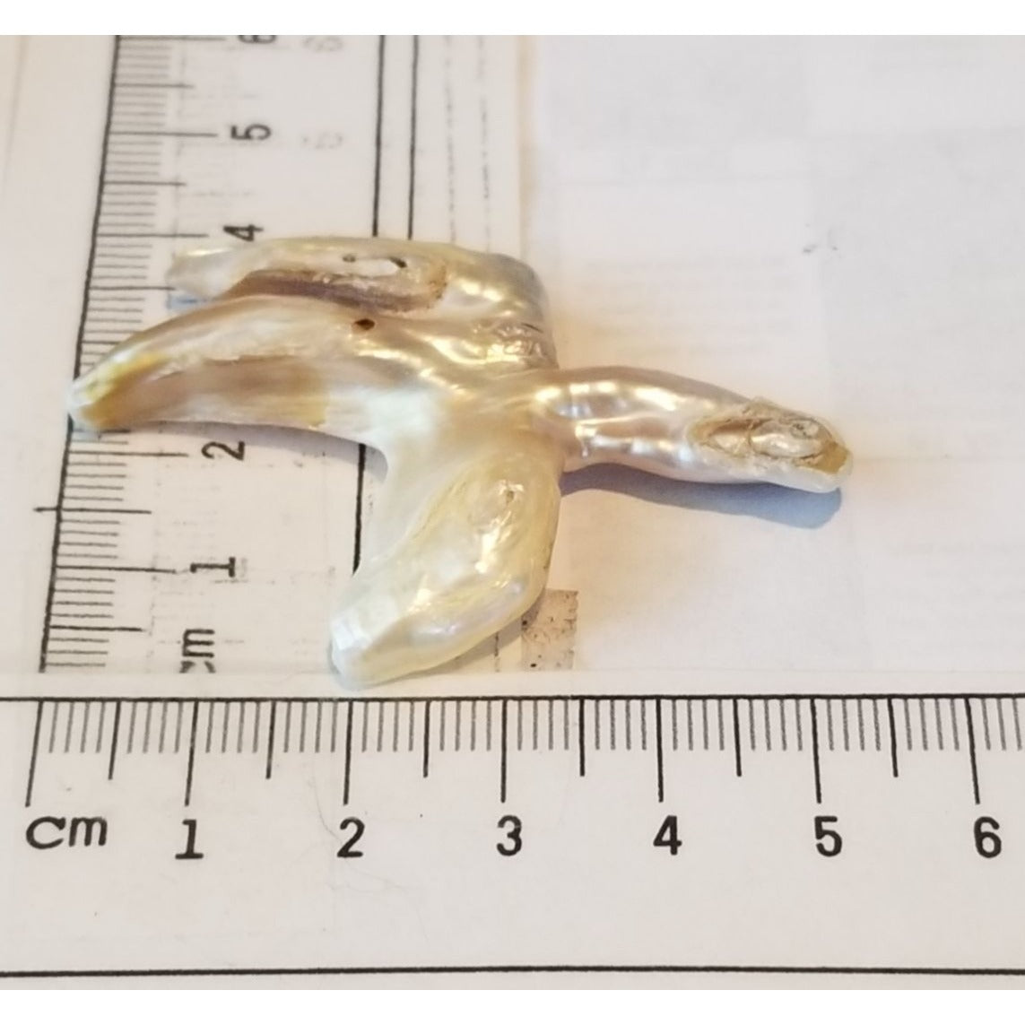 Loose Baroque Catus Bird  Shape Freshwater Keshi 34.5  ct  6.9  gr 5.5 cm  x 5 cm Real Natural