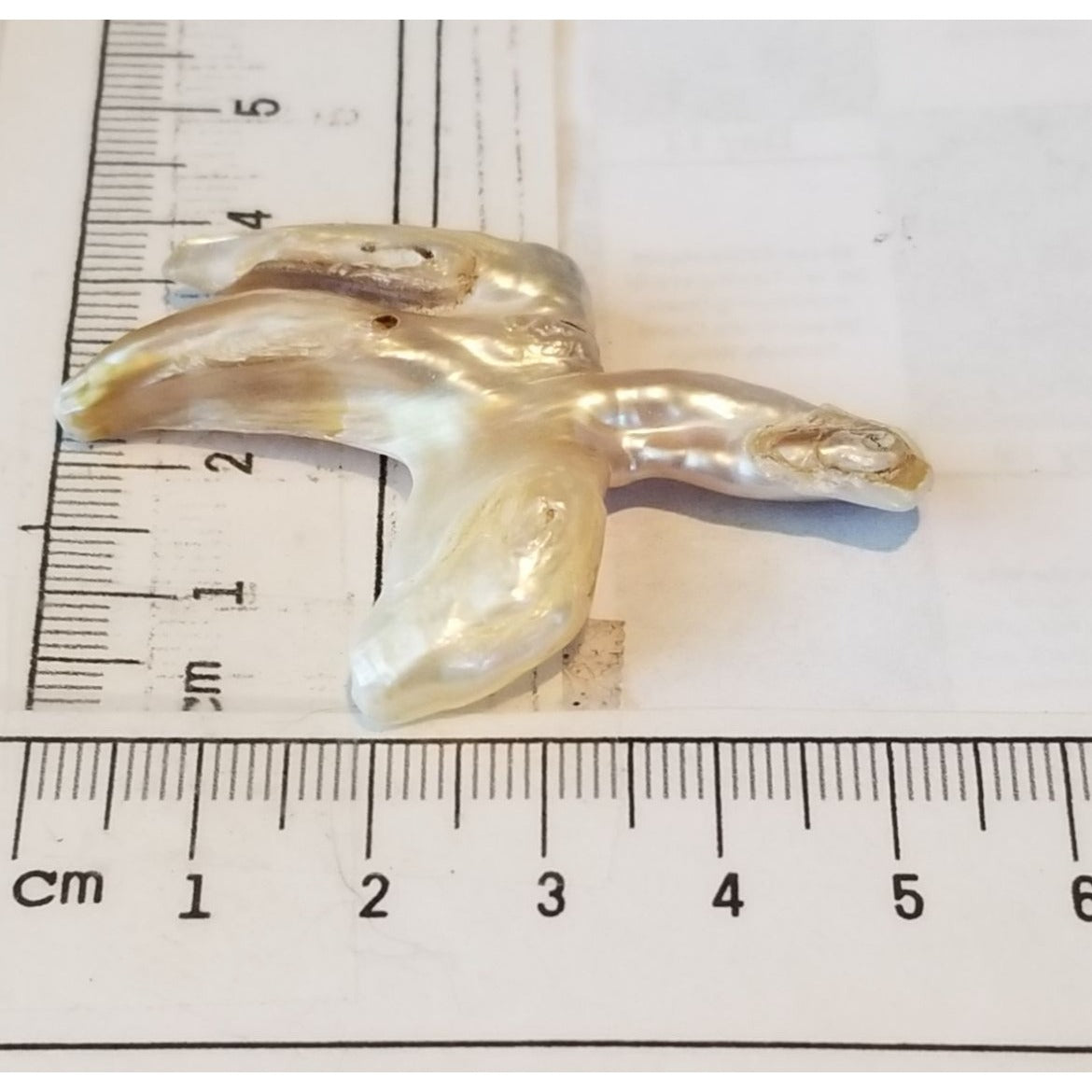 Loose Baroque Catus Bird  Shape Freshwater Keshi 34.5  ct  6.9  gr 5.5 cm  x 5 cm Real Natural
