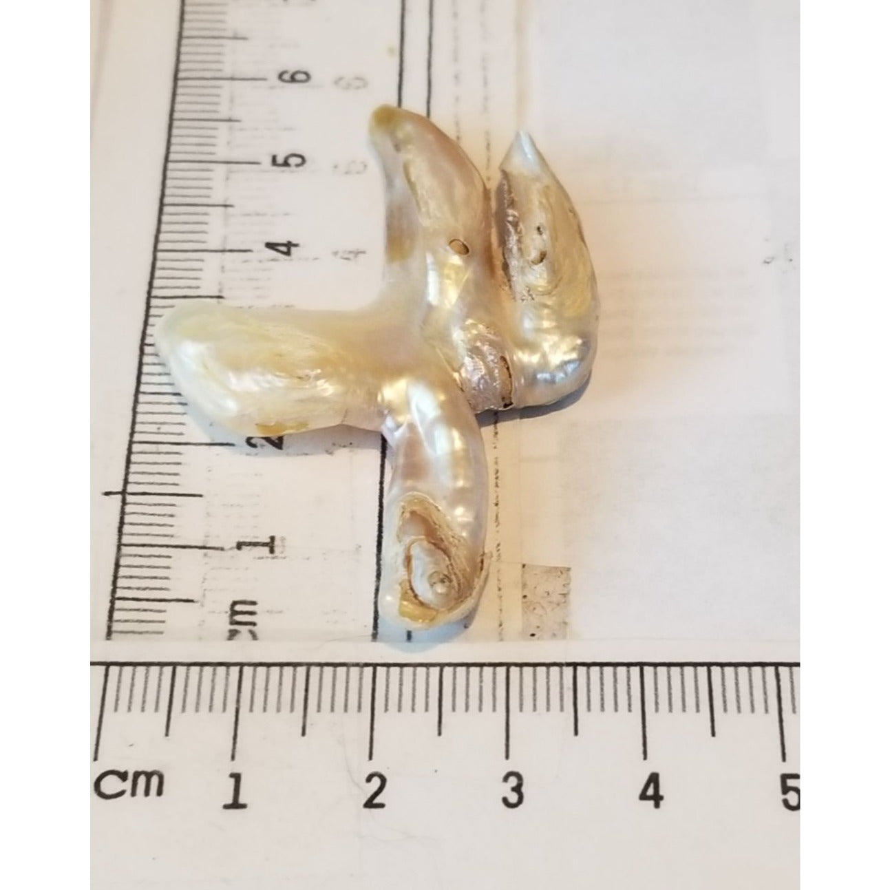 Loose Baroque Catus Bird  Shape Freshwater Keshi 34.5  ct  6.9  gr 5.5 cm  x 5 cm Real Natural