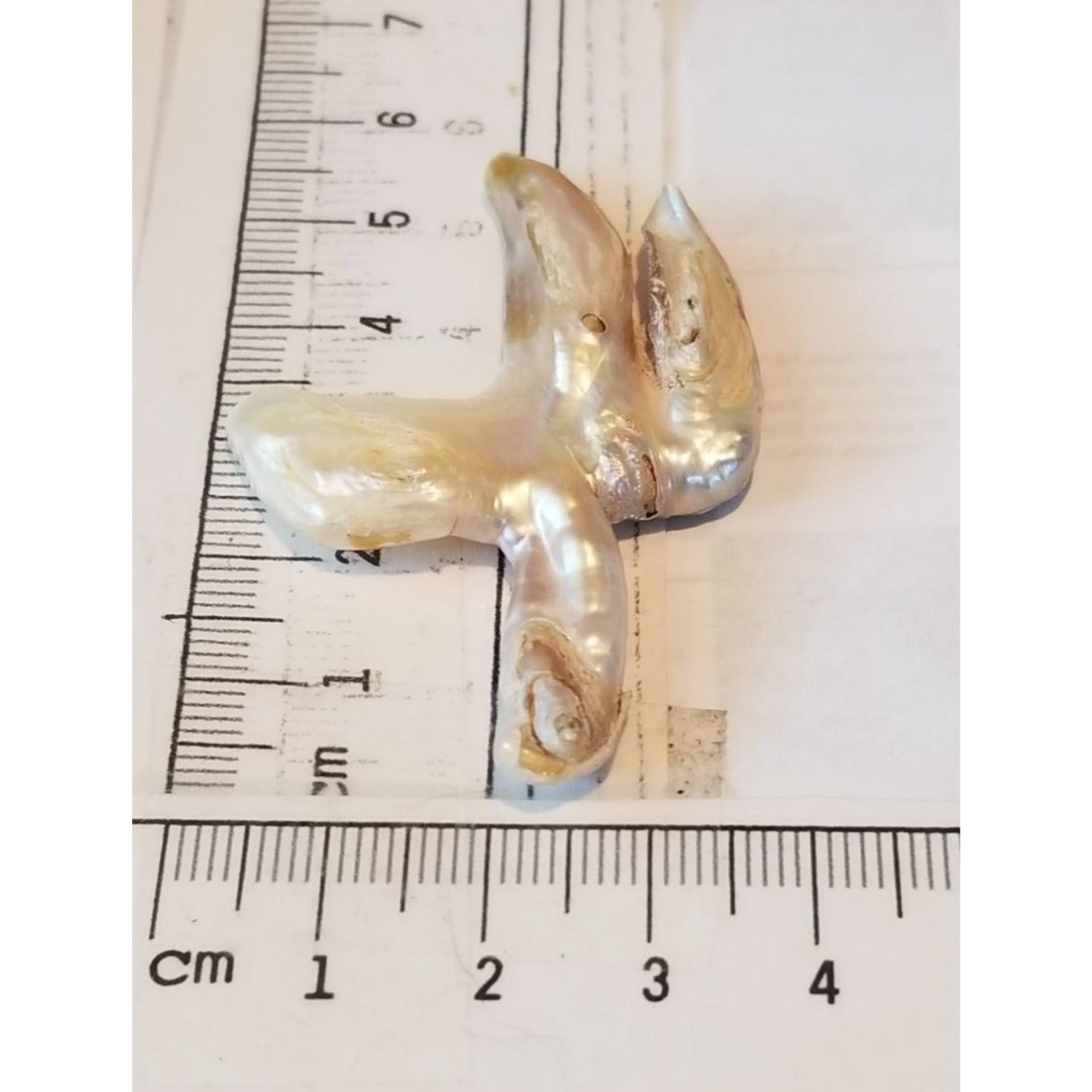 Loose Baroque Catus Bird  Shape Freshwater Keshi 34.5  ct  6.9  gr 5.5 cm  x 5 cm Real Natural