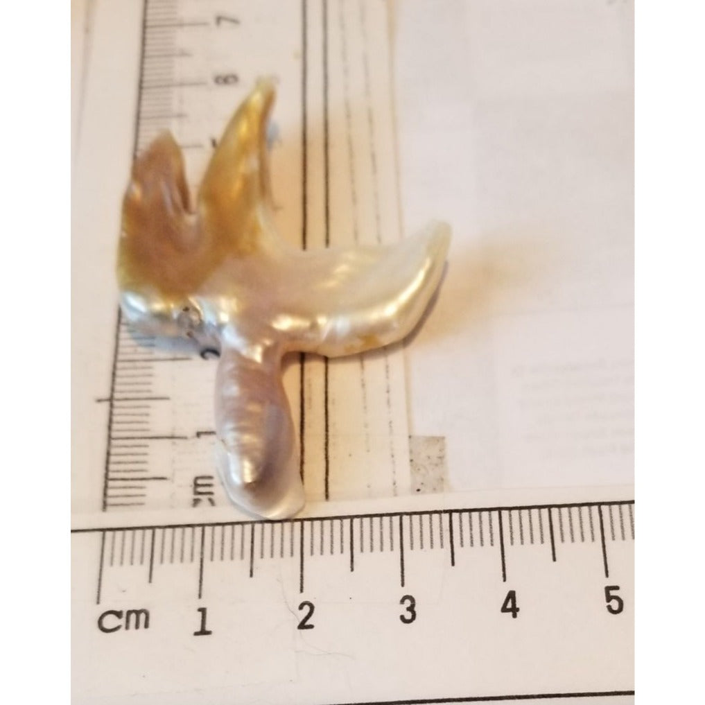 Loose Baroque Catus Bird  Shape Freshwater Keshi 34.5  ct  6.9  gr 5.5 cm  x 5 cm Real Natural