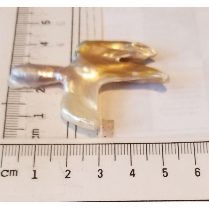 Loose Baroque Catus Bird  Shape Freshwater Keshi 34.5  ct  6.9  gr 5.5 cm  x 5 cm Real Natural