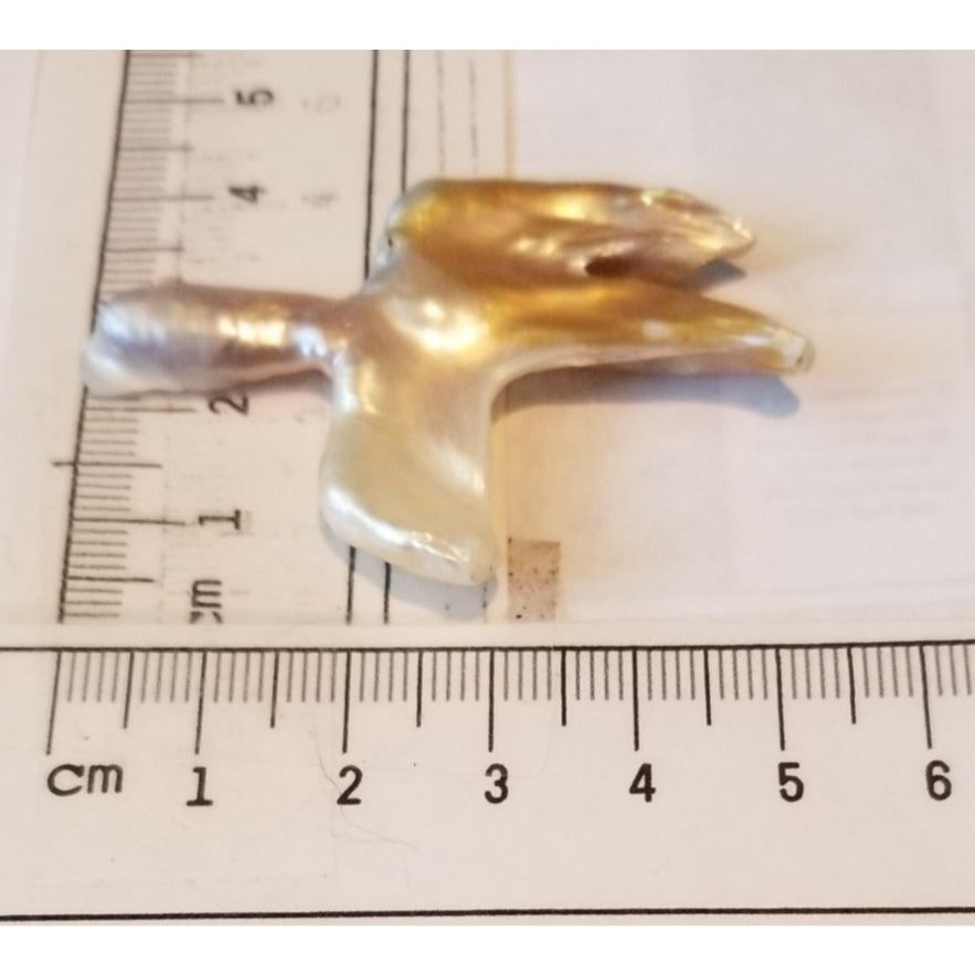 Loose Baroque Catus Bird  Shape Freshwater Keshi 34.5  ct  6.9  gr 5.5 cm  x 5 cm Real Natural