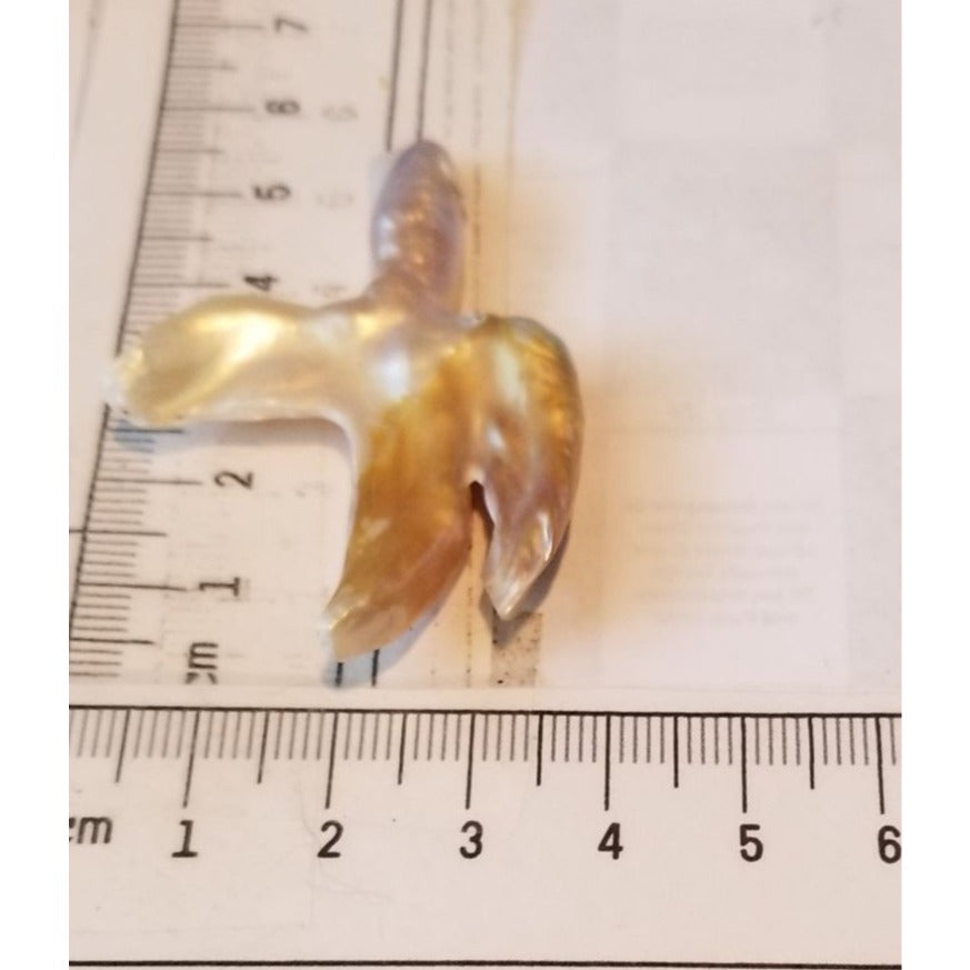 Loose Baroque Catus Bird  Shape Freshwater Keshi 34.5  ct  6.9  gr 5.5 cm  x 5 cm Real Natural