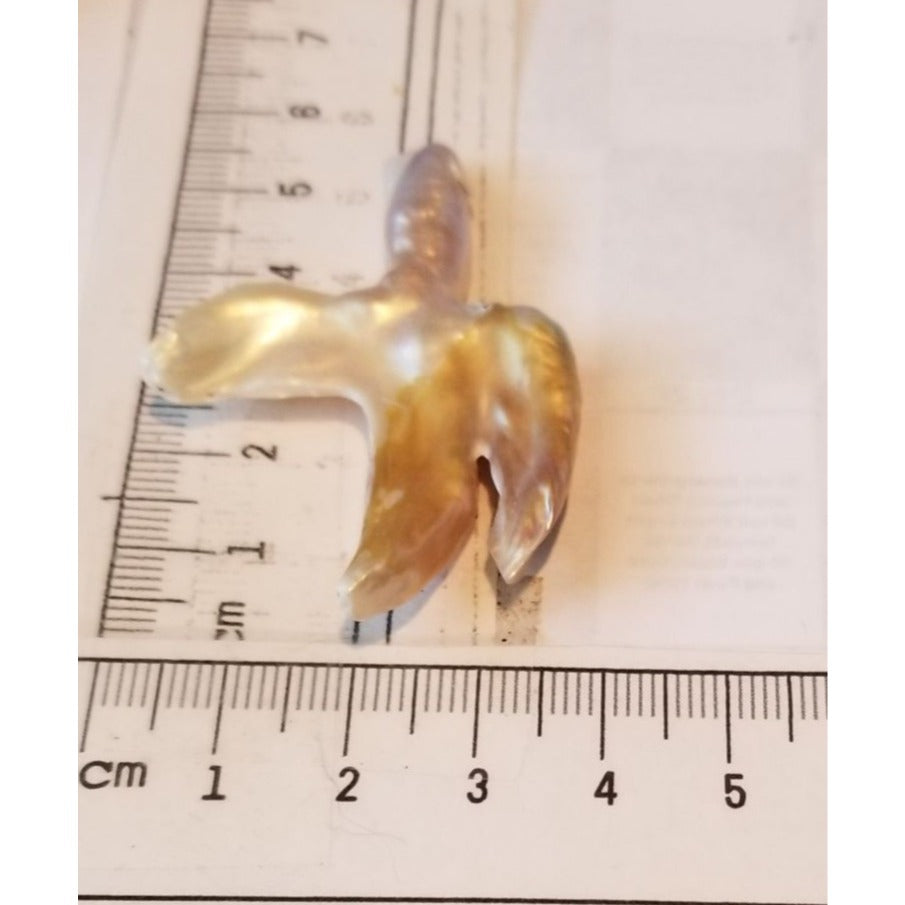 Loose Baroque Catus Bird  Shape Freshwater Keshi 34.5  ct  6.9  gr 5.5 cm  x 5 cm Real Natural