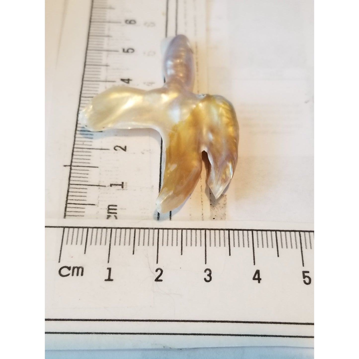 Loose Baroque Catus Bird  Shape Freshwater Keshi 34.5  ct  6.9  gr 5.5 cm  x 5 cm Real Natural