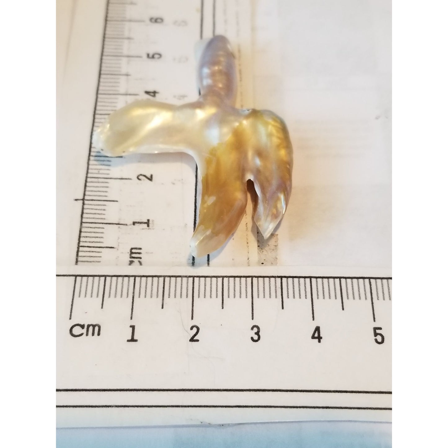 Loose Baroque Catus Bird  Shape Freshwater Keshi 34.5  ct  6.9  gr 5.5 cm  x 5 cm Real Natural