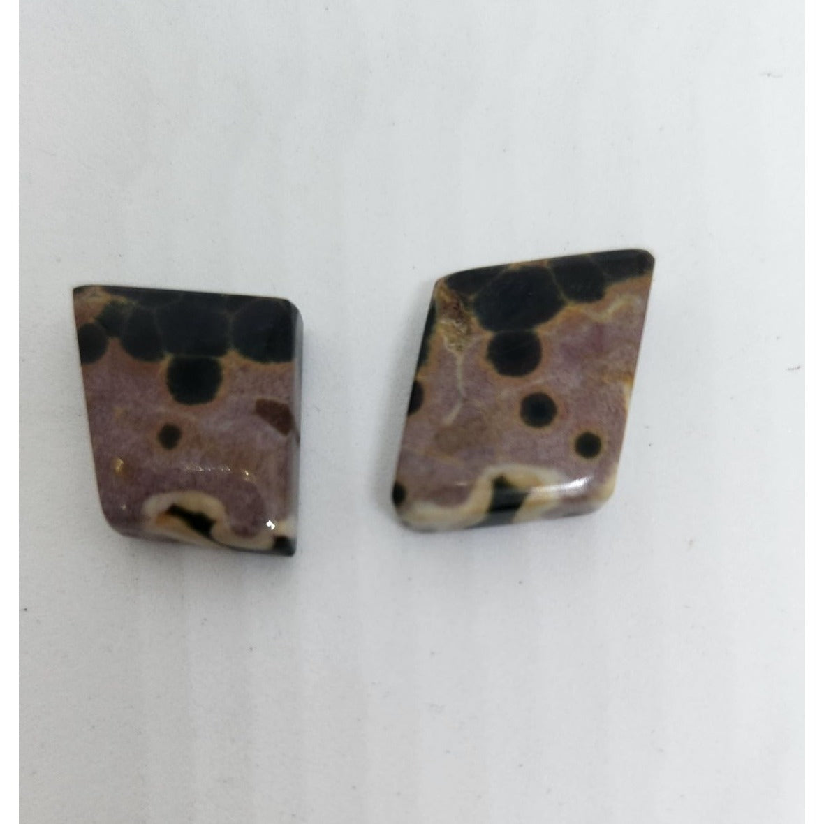 Gemstone Loose Palm Wood Stone Matched Pair Earrings 29 ct  5.7 gr