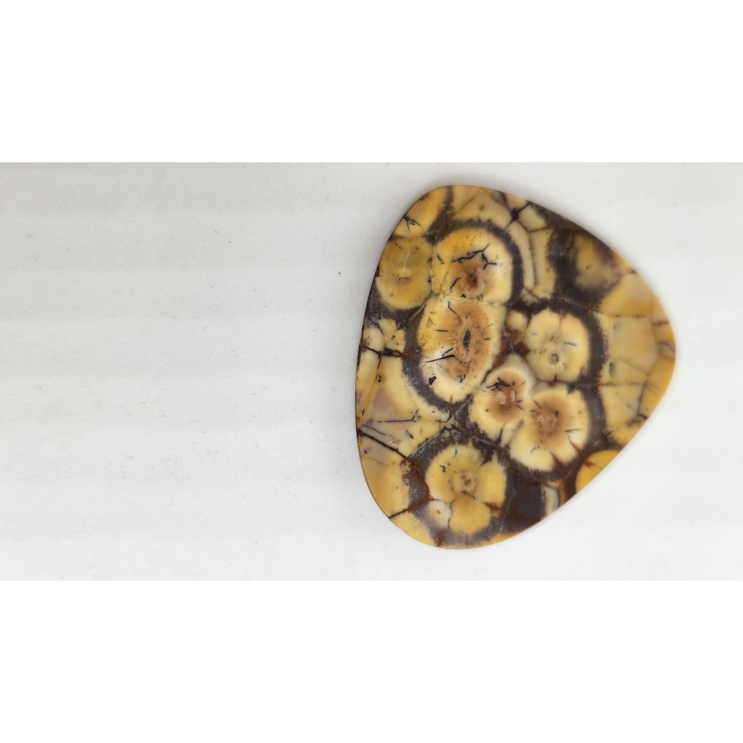 Gemstone Loose Peanut Wood Stone Bracelet  Pendant size  43.5 ct  8.7 gr