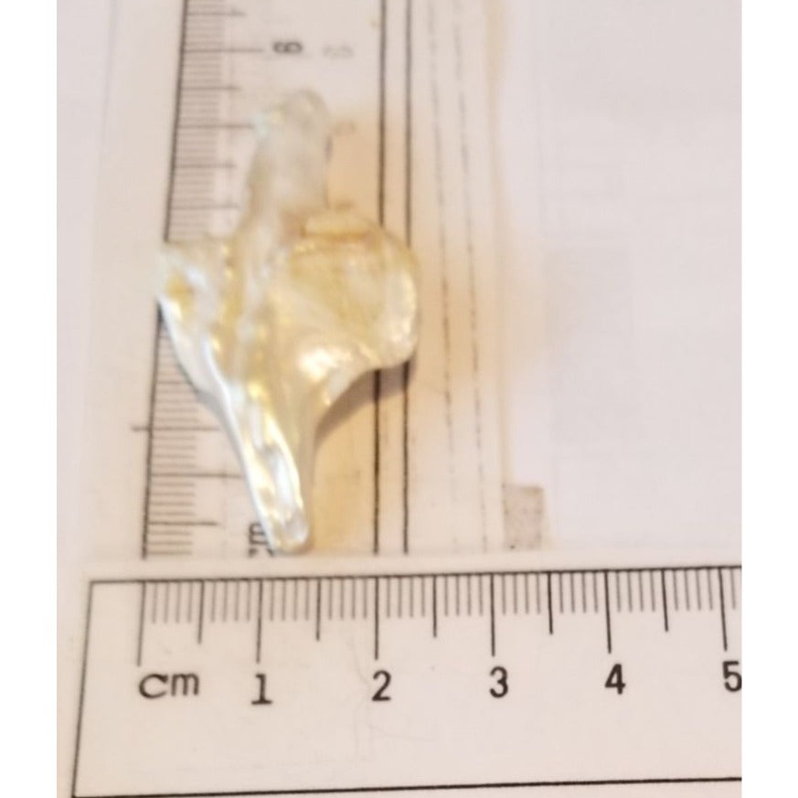 Loose Baroque Arrow Freshwater Keshi 23  ct  6  gr  2.5 cm  x 6 cm Real Natural