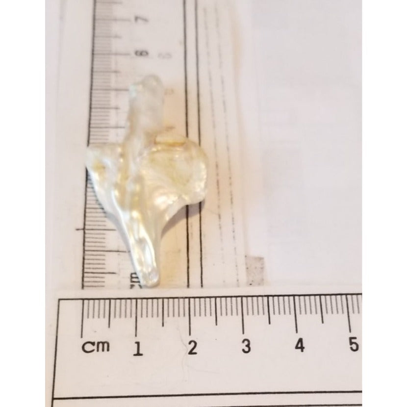 Loose Baroque Arrow Freshwater Keshi 23  ct  6  gr  2.5 cm  x 6 cm Real Natural