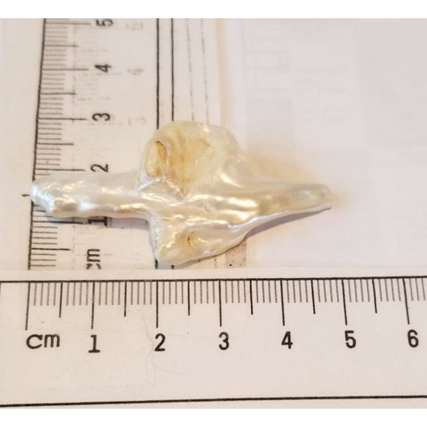 Loose Baroque Arrow Freshwater Keshi 23  ct  6  gr  2.5 cm  x 6 cm Real Natural