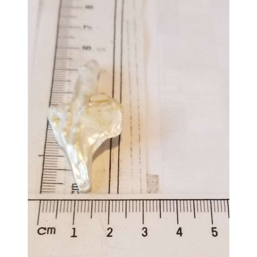 Loose Baroque Arrow Freshwater Keshi 23  ct  6  gr  2.5 cm  x 6 cm Real Natural