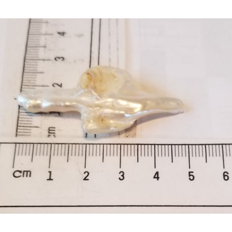 Loose Baroque Arrow Freshwater Keshi 23  ct  6  gr  2.5 cm  x 6 cm Real Natural