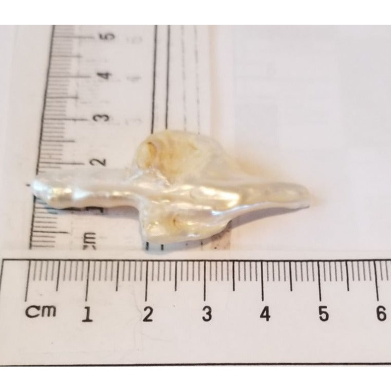 Loose Baroque Arrow Freshwater Keshi 23  ct  6  gr  2.5 cm  x 6 cm Real Natural