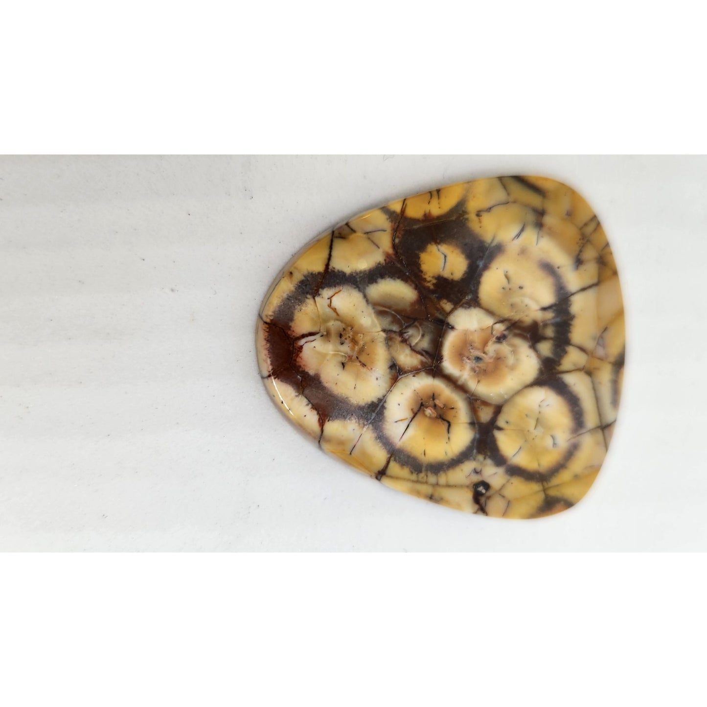 Gemstone Loose Peanut Wood Stone Bracelet  Pendant size  43.5 ct  8.7 gr